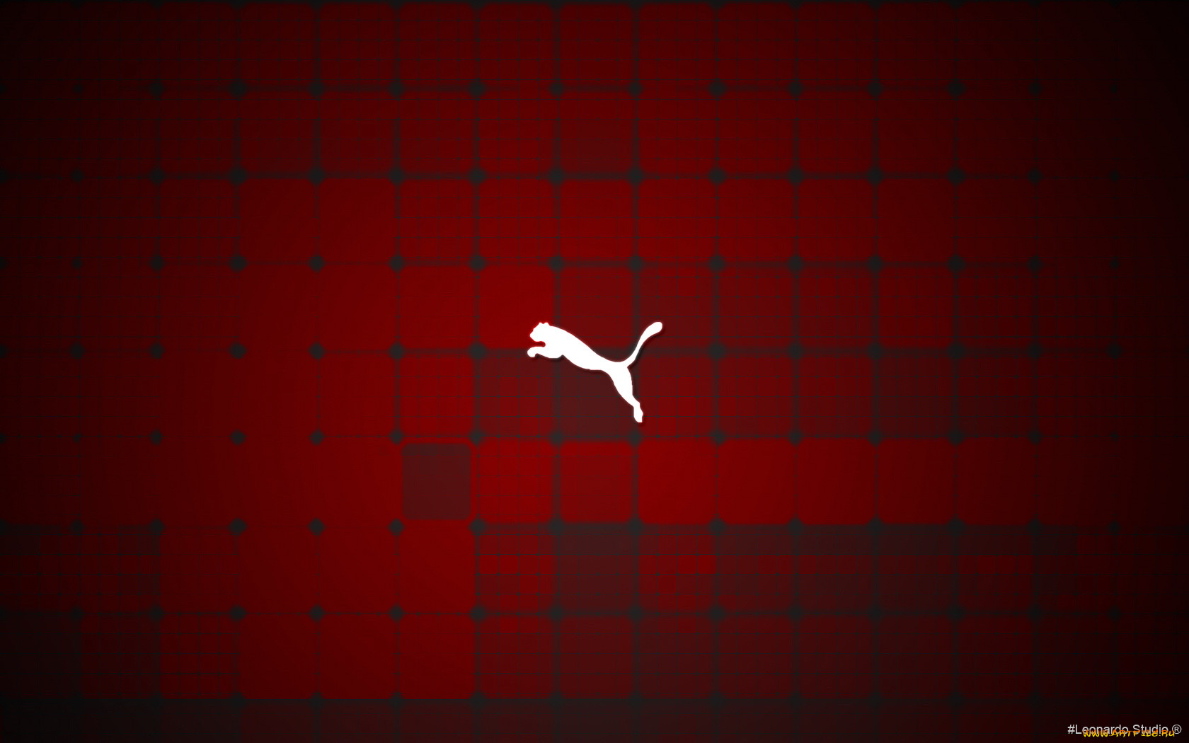 , puma, , , 